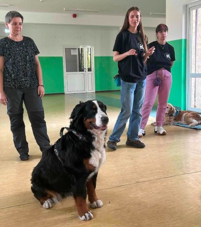 434741512_861771425756966_225966386852862098_n