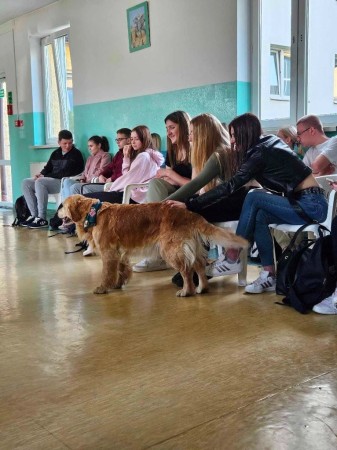 435086045_861771515756957_5610682021415599890_n